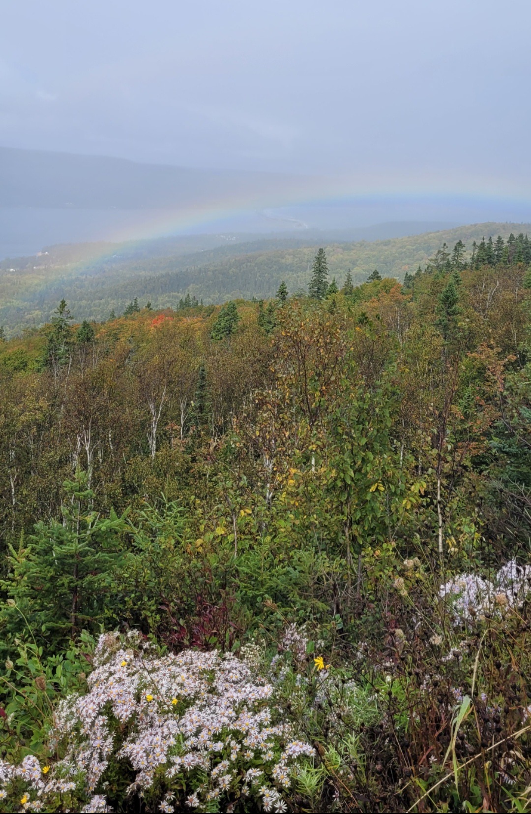 View from Tara statue