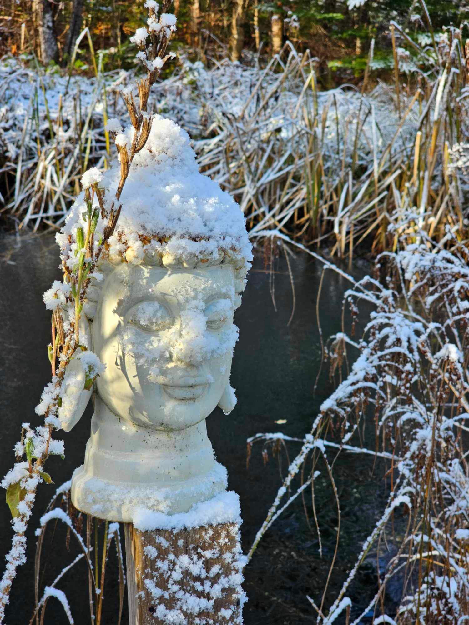 Buddha head statue with snow